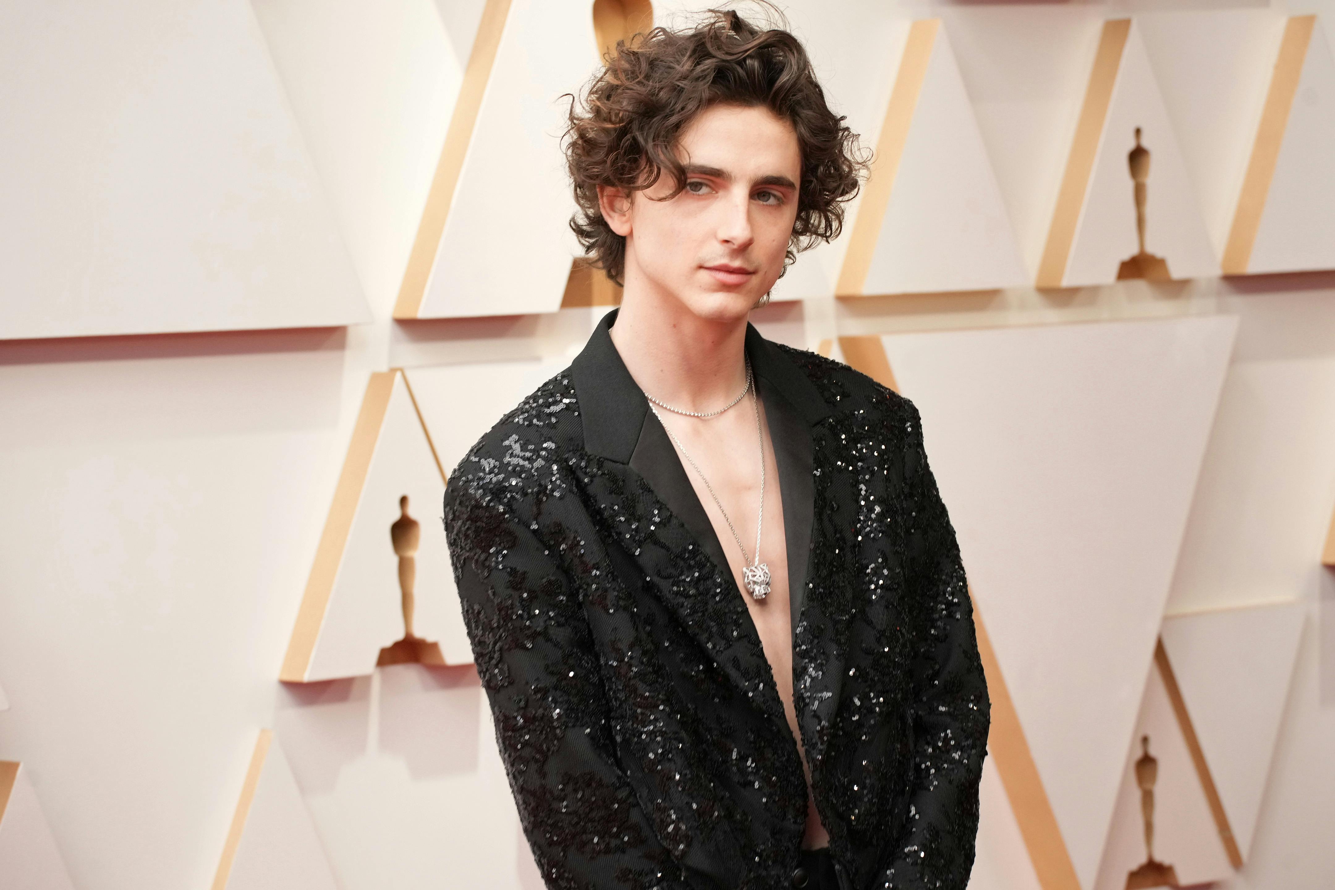 Louis vuitton 2025 timothee chalamet